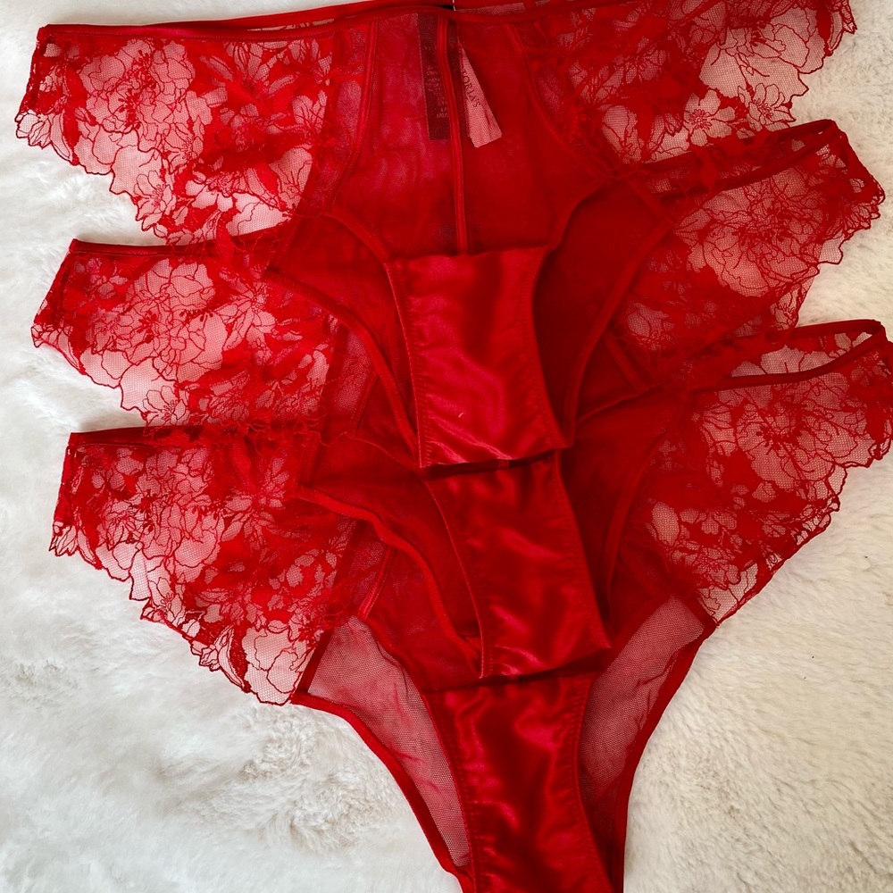 Victoria Secret 3 Pair, LUXE Mesh Lace Cheekini Panties. NWT. Size Large